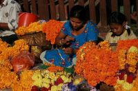 Яркие цветы Непала